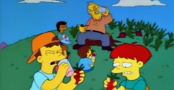 Simpsons turnip